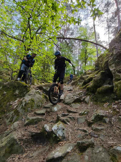 Trois monocyclistes casqués descendent un sentier rocheux et moussu en forêt.